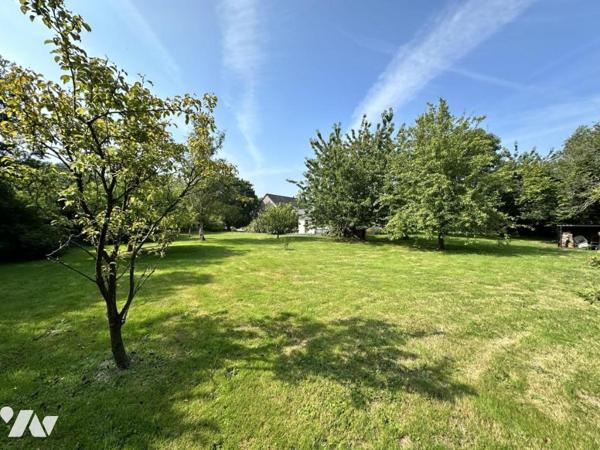 Maison avec grand terrain de 2,5 hectares