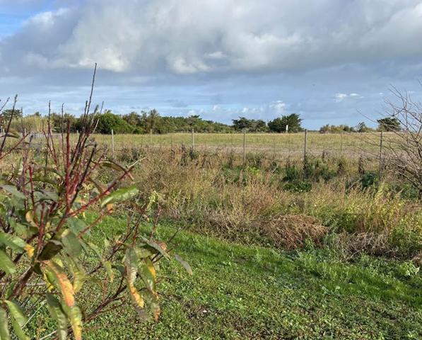 Terrain à vendre |  Saint-Denis-d'Oléron |  825 m²