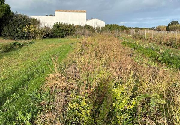 Terrain à vendre |  Saint-Denis-d'Oléron |  825 m²