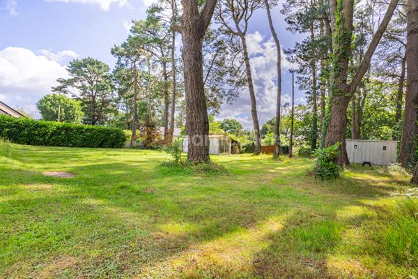 Vente
                Terrain1100 m² - LA CHAPELLE SUR ERDRE (44240)