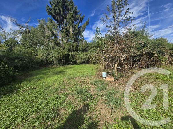 Terrain à vendre  520 m2 CARBONNE - 31