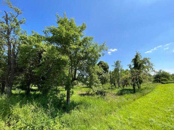 Terrain à Batir à vendre à Bourguignons dans l'Aube (10110), ref : 10361/4324