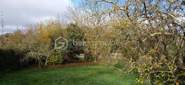 Maison traditionnelle de 130 m²