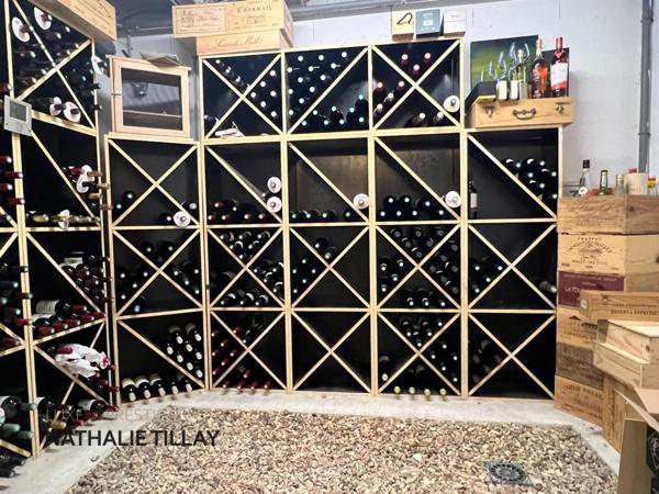 Orléans, St Marc, à vendre, élégante maison d' architecte a toit plat, de 345 m² habitable, Terrain de 873 m²