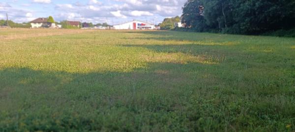 Terrain constructible  6704 m2 Luxeuil