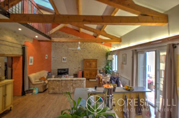 Céret (66400) Duplex plein de charme