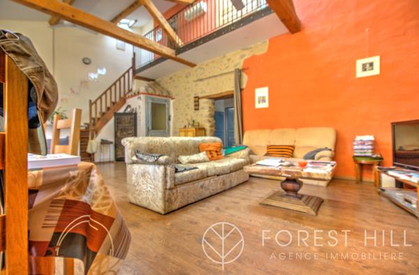 Céret (66400) Duplex plein de charme