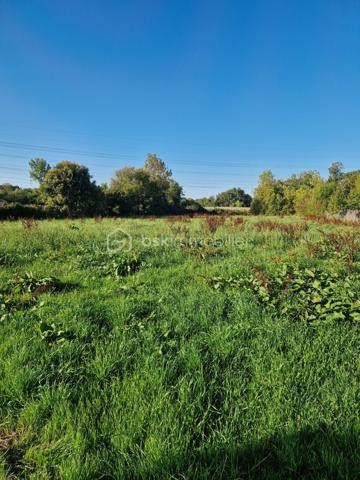 Terrain de 2 855 m²