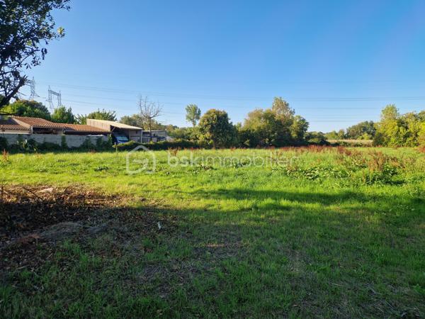 Terrain de 2 855 m²