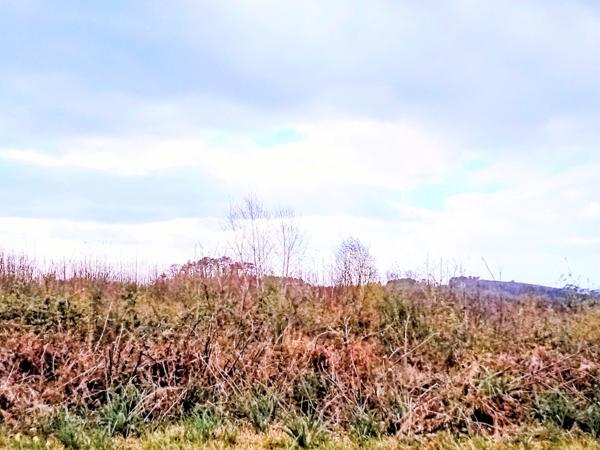 Beau terrain constructible avec vue