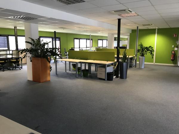 Location bureaux à Orvault 624 m2 avec excellent ratio parking