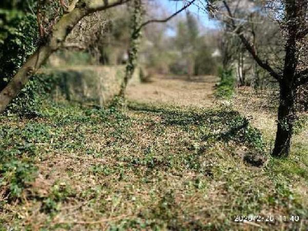 Terrain en faïsse constructible de 2405M²