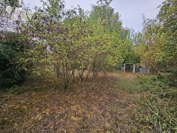 MAISON PHALEMPIN -  VENTE SUR APPEL D'OFFRE AU PLUS OFFRANT