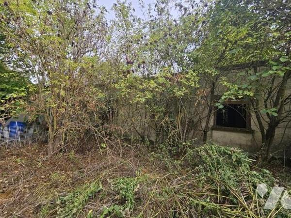 MAISON PHALEMPIN -  VENTE SUR APPEL D'OFFRE AU PLUS OFFRANT