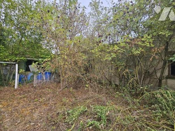 MAISON PHALEMPIN -  VENTE SUR APPEL D'OFFRE AU PLUS OFFRANT