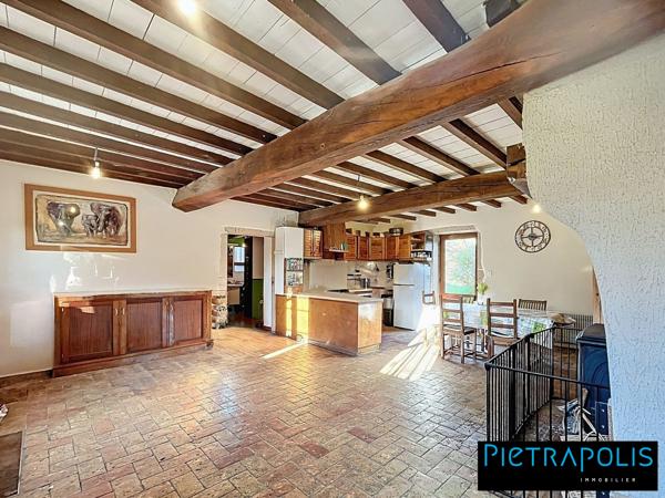 Propriété 250 m² avec dépendances - terrain 7 000 m²