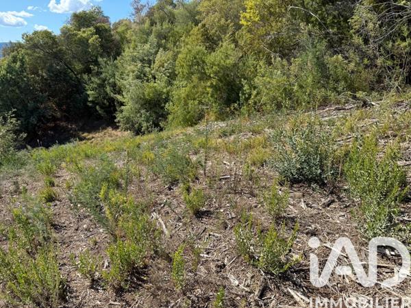 Terrain à vendre 2 900 m² Mandelieu-la-Napoule