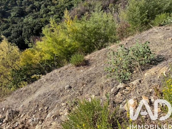 Terrain à vendre 2 900 m² Mandelieu-la-Napoule