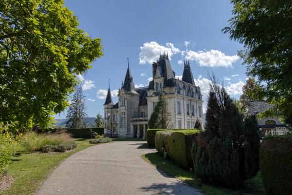 À Vendre - Magnifique Château Néo-Renaissance au Cœur du Pays Vert, Cantal