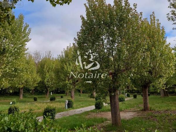 Achat - Terrain de loisirs, bois, étangs Saillagouse 66800 176 m 2