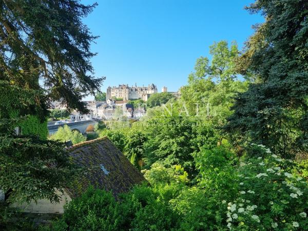 Élégante maison de maître aux portes des châteaux de la Loire et de Beauval