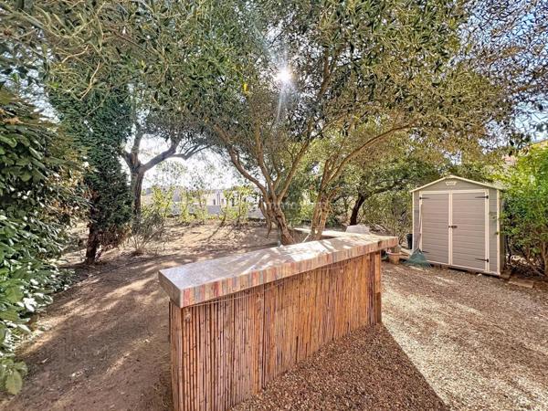 Vente Appartement 3 pièces 70 m2 à Belgodère