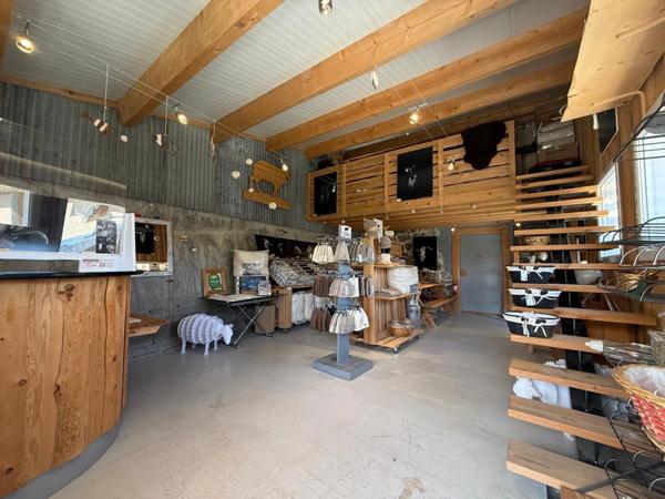 Maubourg Corps de ferme rénové à vendre 3 logements (05) Le Dévoluy