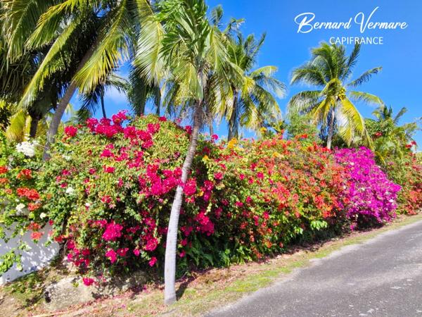 Maison et 3 bungalows - 9 pièces - Piscine - Terrain 2 000m²