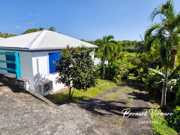 Maison et 3 bungalows - 9 pièces - Piscine - Terrain 2 000m²