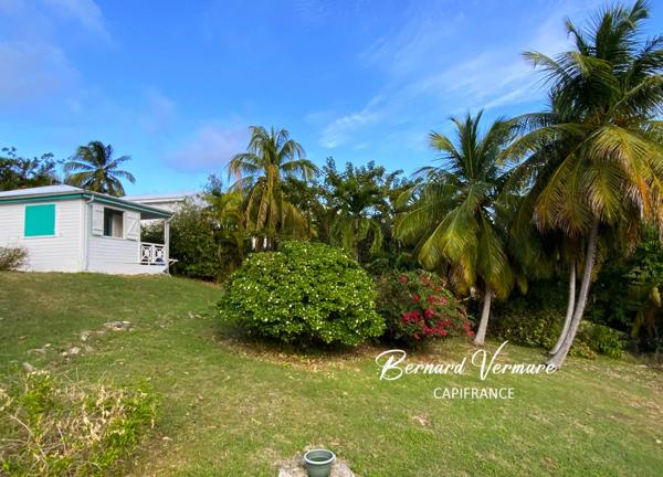 Maison et 3 bungalows - 9 pièces - Piscine - Terrain 2 000m²