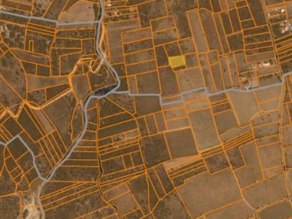 Vente / Terrain agricole