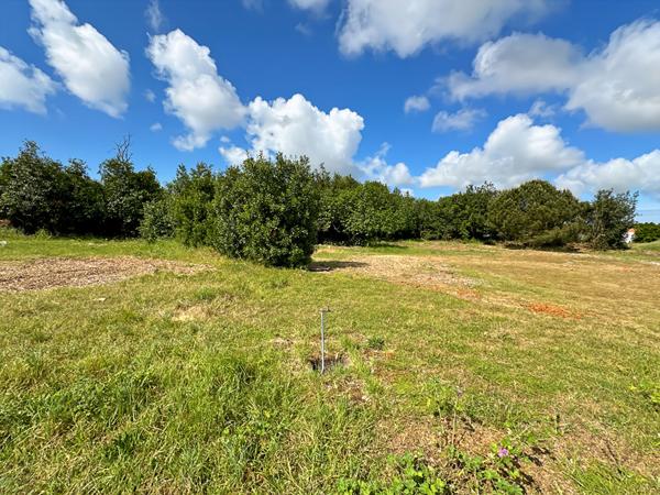 Terrain Saint Jean De Monts 426 m2
