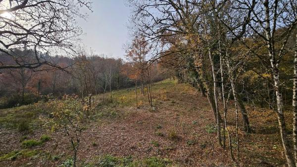 Monestiés, village historique et son patrimoine préservé