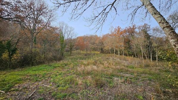Monestiés, village historique et son patrimoine préservé
