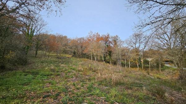 Monestiés, village historique et son patrimoine préservé