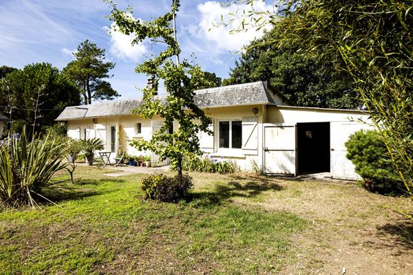 Sainte Marguerite/cavaro