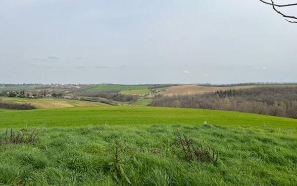 Terrain à vendre    Léojac
