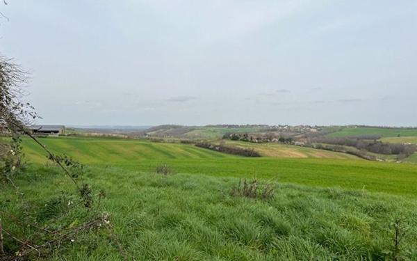 Terrain à vendre    Léojac