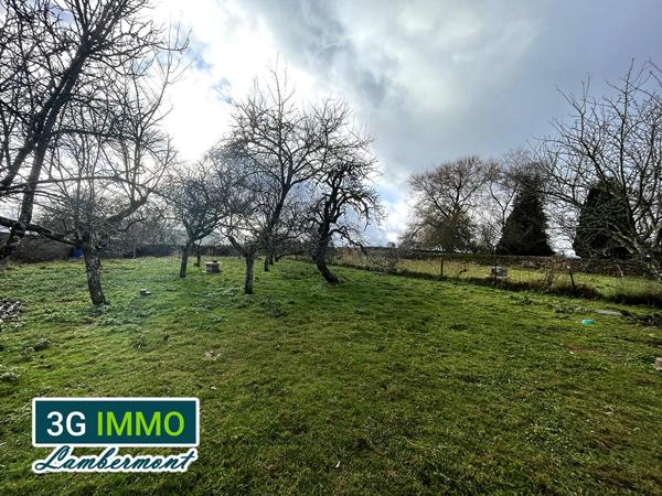 Vente / Terrain commercial