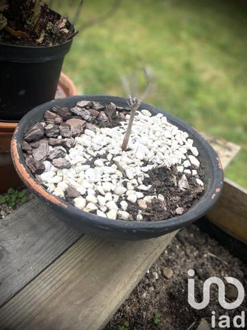 Maison 5 pièces de 96 m² à La Ferté-Saint-Aubin (45240)