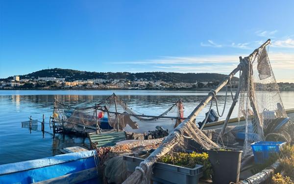 Maison à vendre    4 pièces •  Sète