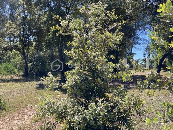 Terrain de 1 184 m²