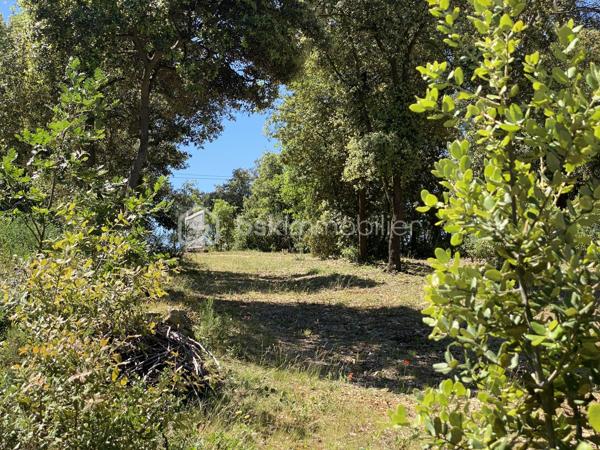 Terrain de 1 184 m²