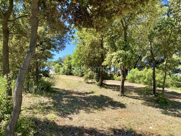 Terrain de 1 184 m²