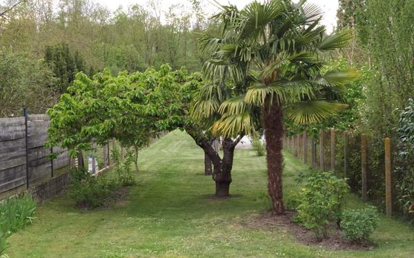 Maison à vendre    5 pièces •  Saint-Michel-sur-Orge