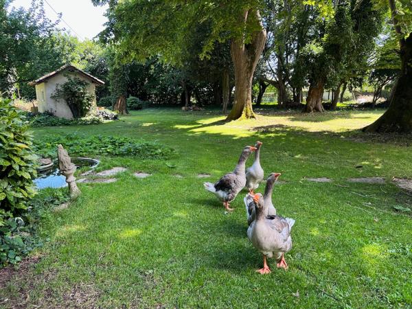 Au coeur du Lot-et-Garonne, à Villeneuve-sur-Lot, à proximité de cinq villages classés parmi « Les Plus Beaux Villages de France », remarquable propriété de prestige composée d'un manoir du XVII? siècle d'environ 410 m², de dépendances aménagées en gîtes , Villeneuve sur lot