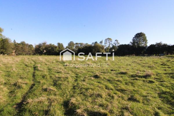 Terrain constructible viabilisé de 1 295 m²
