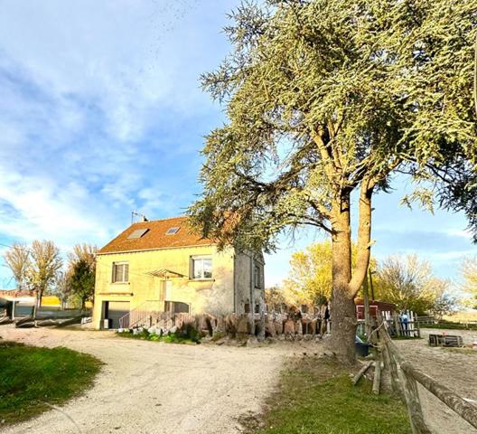 Maison 6 pièce(s) 100 m2 + 60 M2