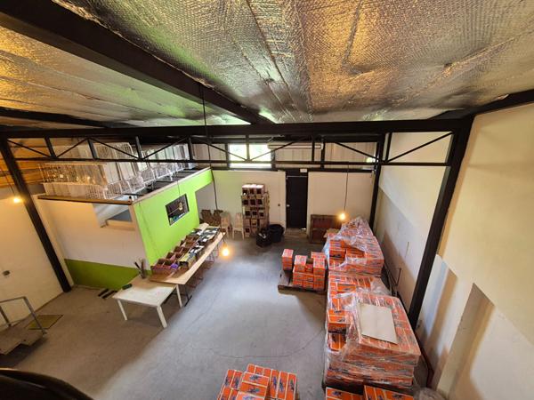 Location local commercial Fort-de-France - 190 m² - 4 768 €/mois