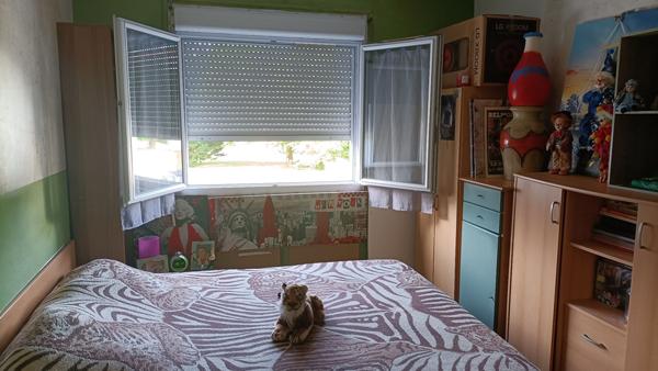 Appartement Tonnay Charente 4 pièce(s)